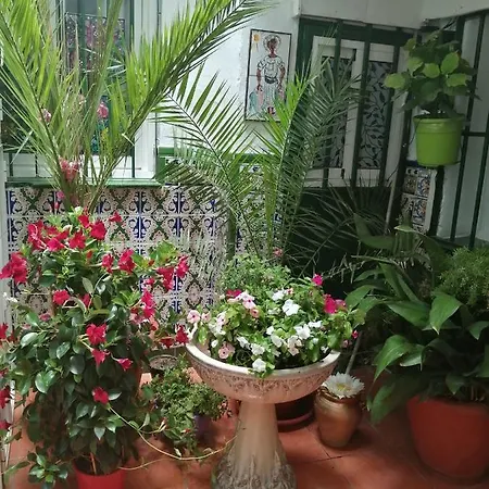 H Juan 2* Марбелья