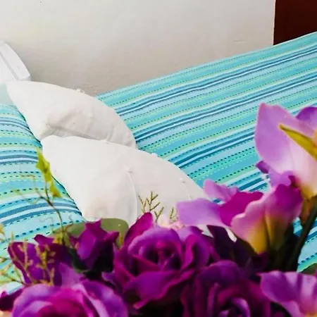 H Juan בית הארחה מארבלה